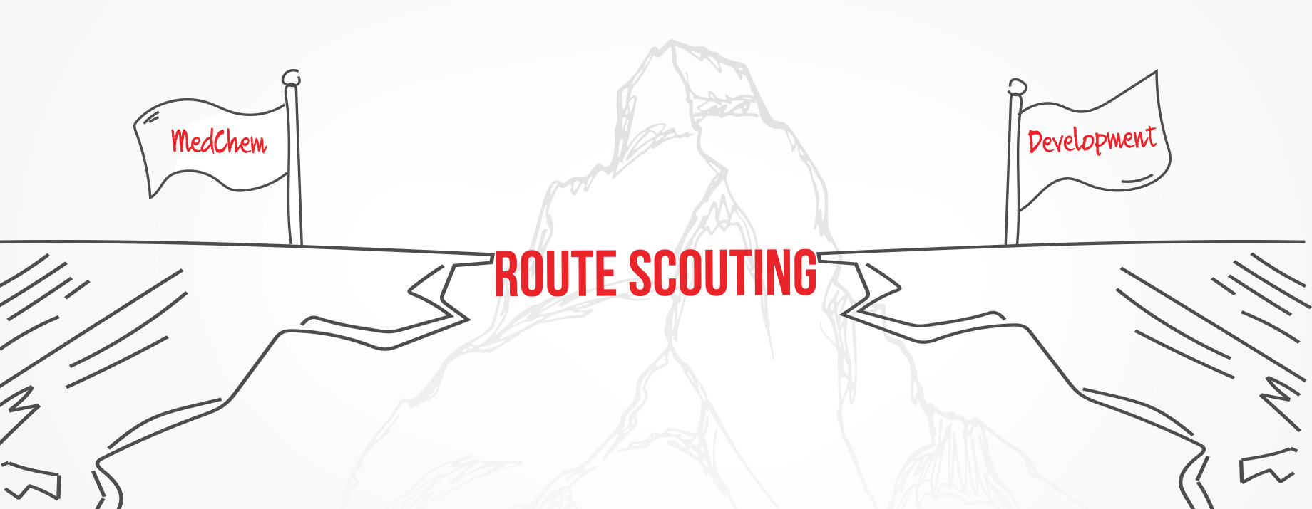 Identifying novel efficient routes of synthesis to enable large-scale manufacturing of compounds. Learn more!