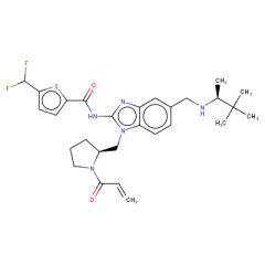 5-(difluoromethyl)-N-[5-({[(2S)-3,3-dimethylbutan-2-yl]amino}methyl)-1-{[(2S)-1-(prop-2-enoyl)pyrrolidin-2-yl]methyl}-1H-1,3-benzodiazol-2-yl]thiophene-2-carboxamide