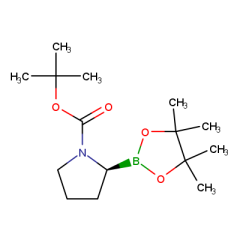 tert-butyl 2-(tetramethyl-1,3,2-dioxaborolan-2-yl)pyrrolidine-1-carboxylate