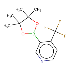 3-(4,4,5,5-tetramethyl-1,3,2-dioxaborolan-2-yl)-4-(trifluoromethyl)pyridine