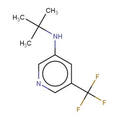 N-tert-butyl-5-(trifluoromethyl)pyridin-3-amine