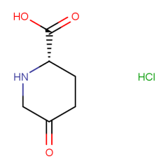 5-oxopiperidine-2-carboxylic acid hydrochloride