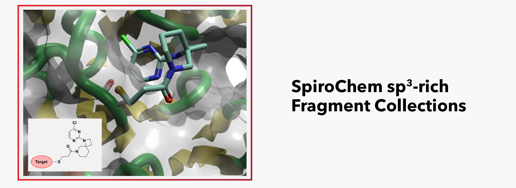 Expertise of the month: Libraries of sp<sup>3</sup>-rich Covalent Fragments and Fragments
