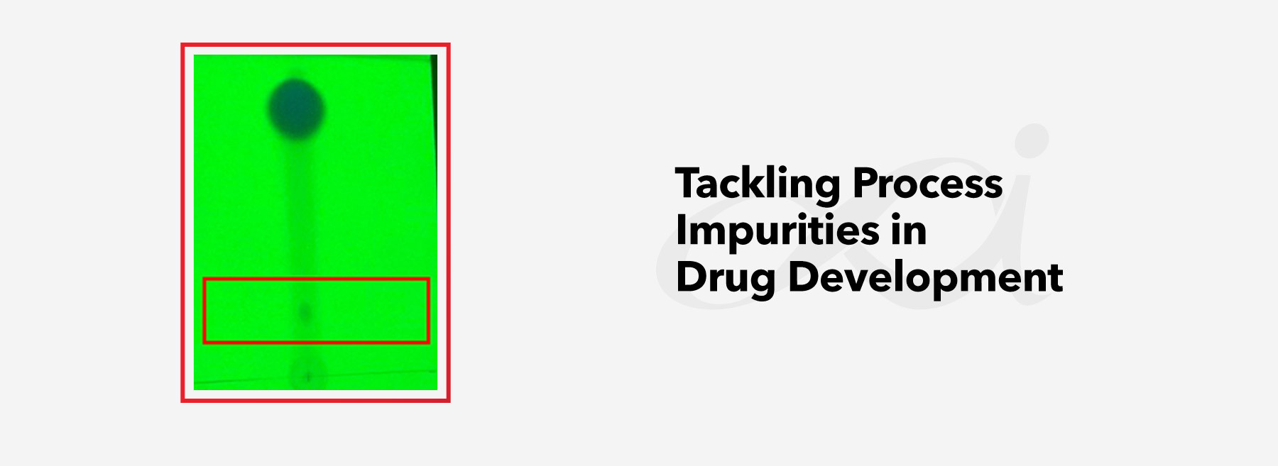 Tackling Process Impurities in Drug Development
